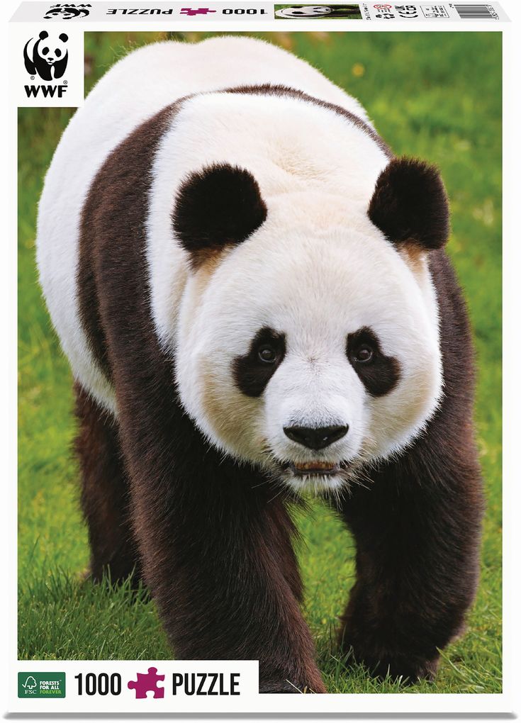 Ambassador - Pandas 1000 Teile