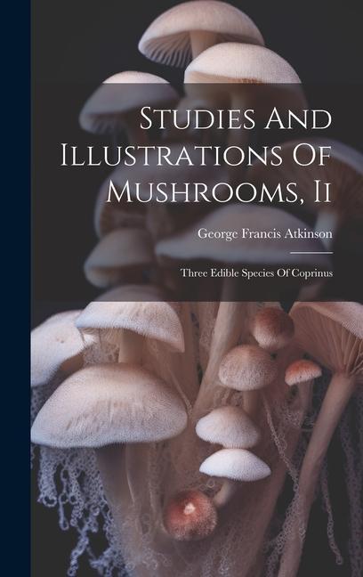 Studies And Illustrations Of Mushrooms Ii: Three Edible Species Of Coprinus