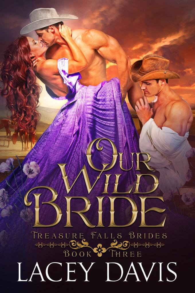 Our Wild Bride (Treasure Falls Brides #3)