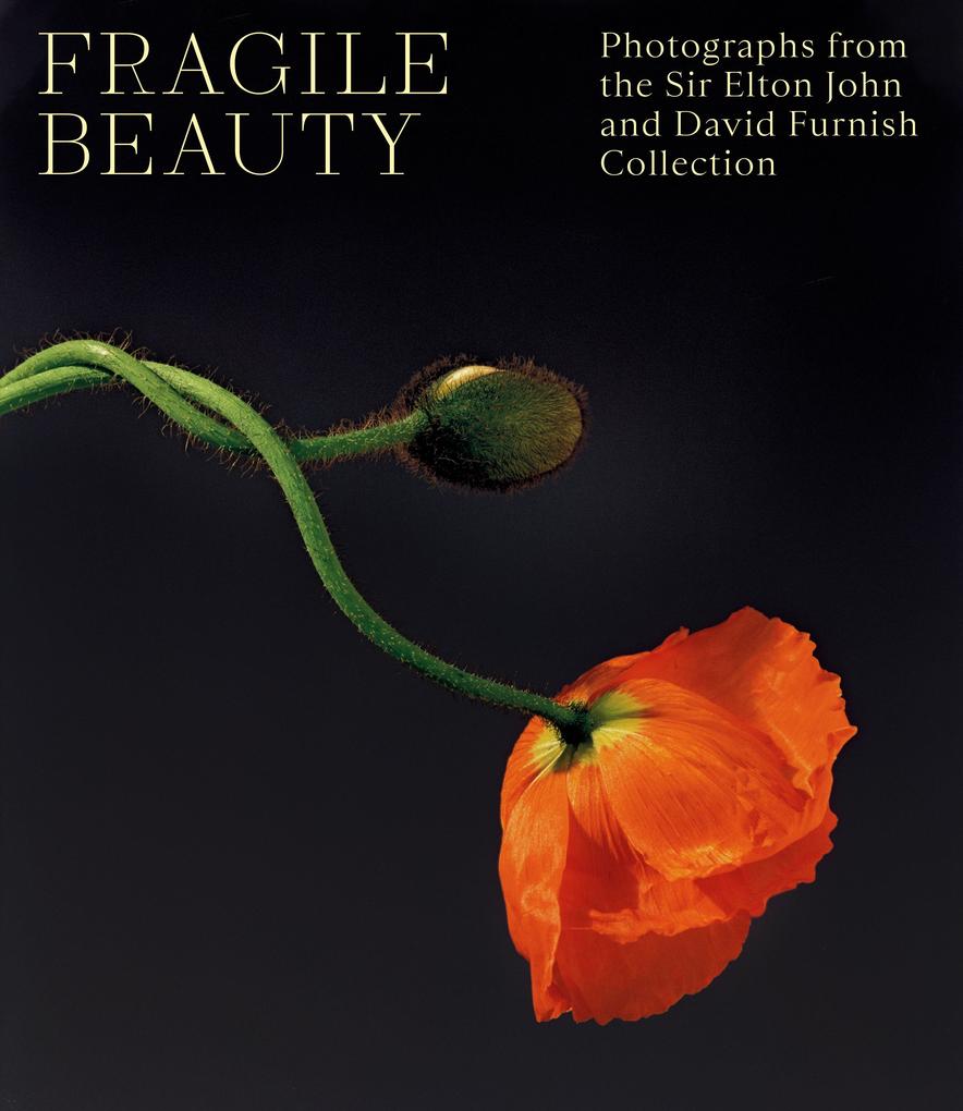 Abrams & Chronicle Books Fragile Beauty