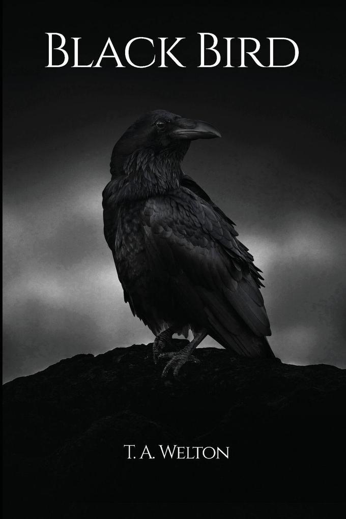 Black Bird