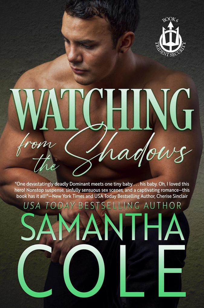 Watching From the Shadows (Trident Security Series #6)