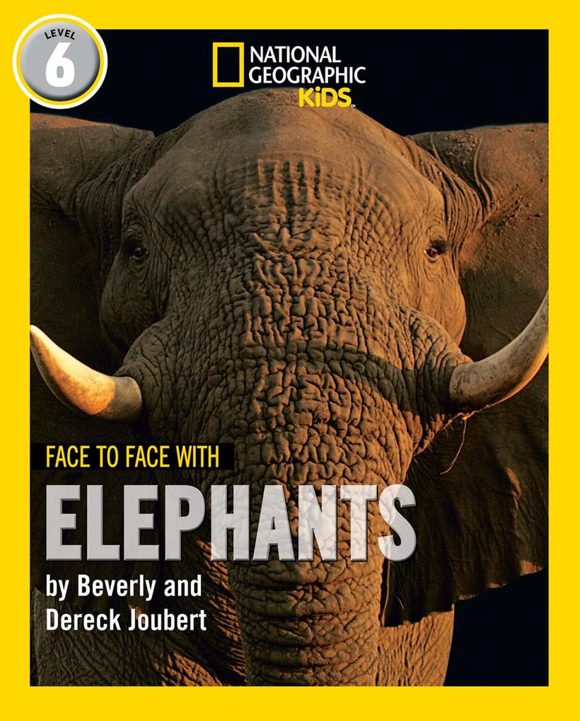 Face to Face with Elephants
