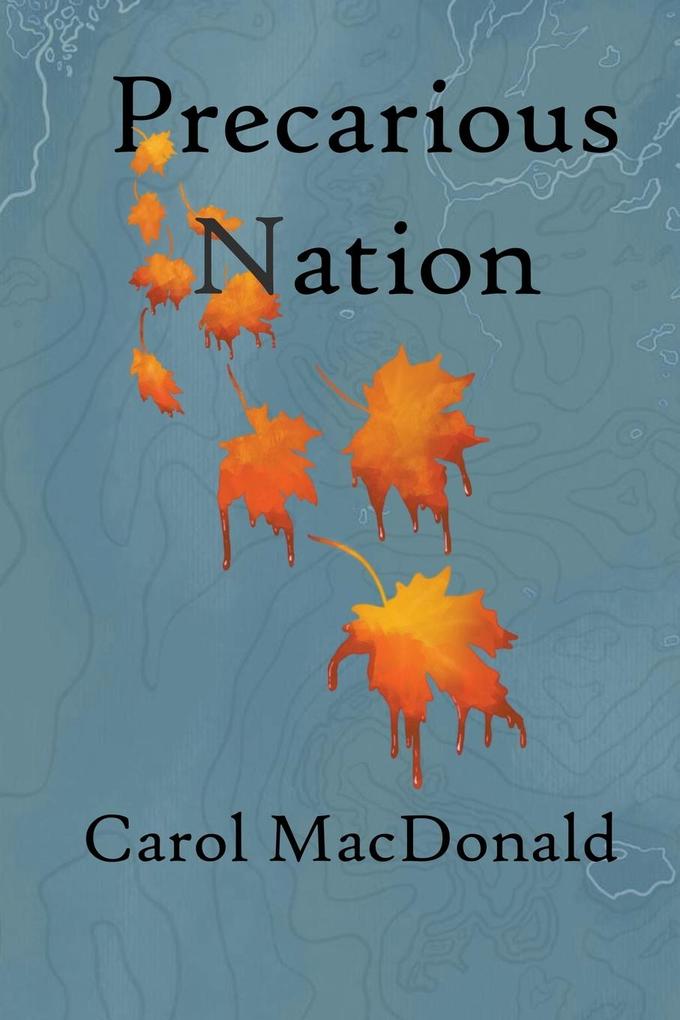 Precarious Nation