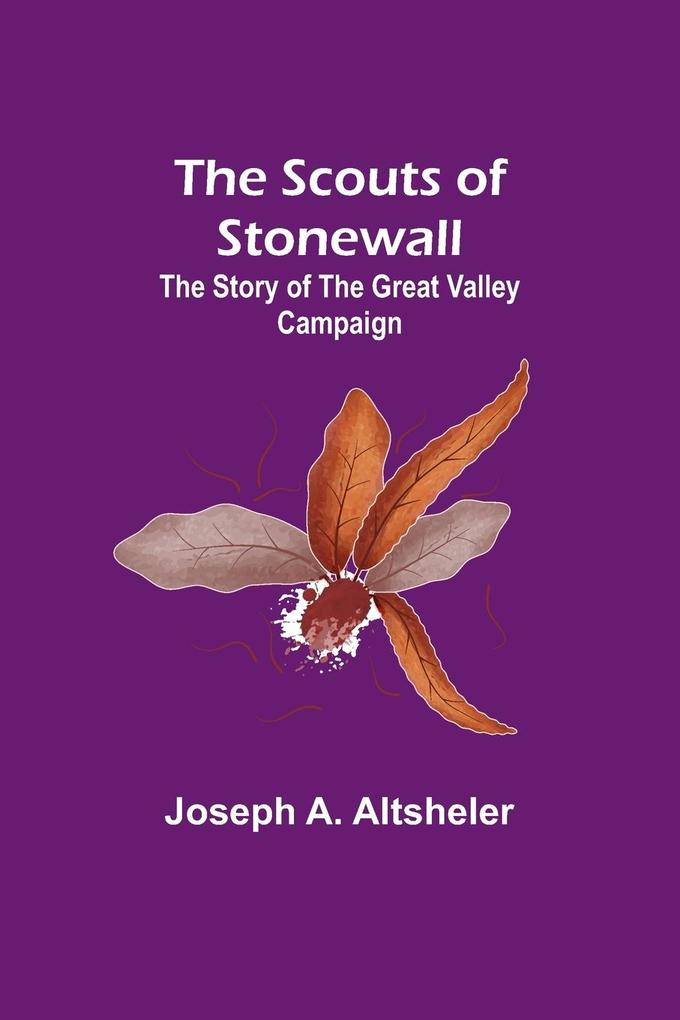 The Scouts of Stonewall