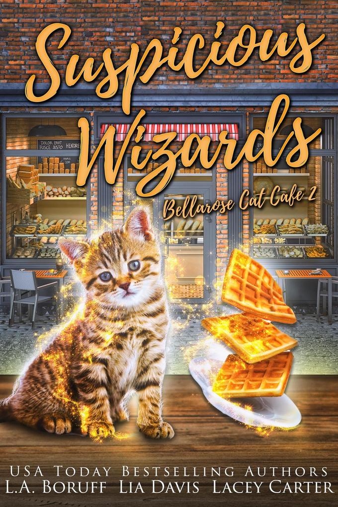 Suspicious Wizards (Bellarose Cat Cafe #2)