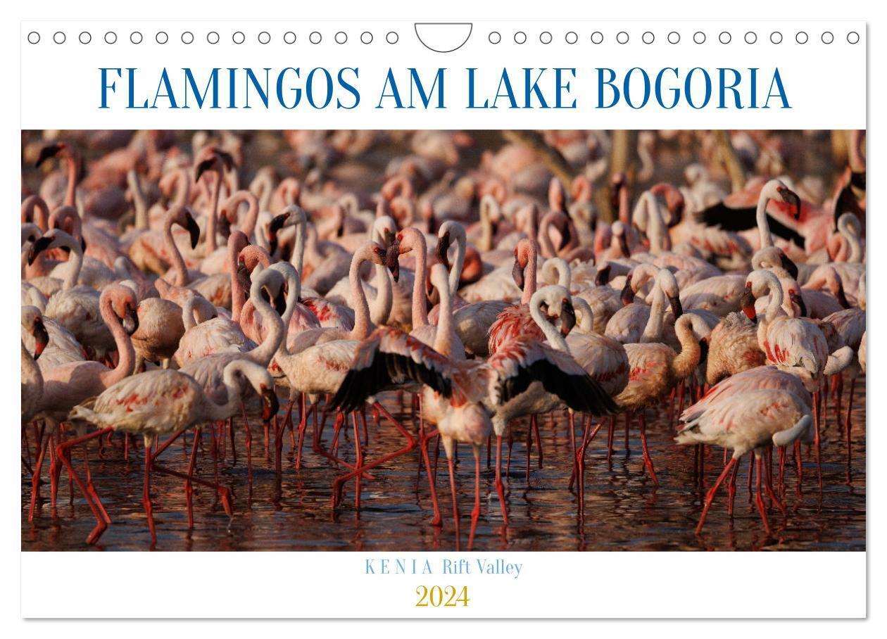 Flamingos am Lake Bogoria - Kenia (Wandkalender 2024 DIN A4 quer) CALVENDO Monatskalender
