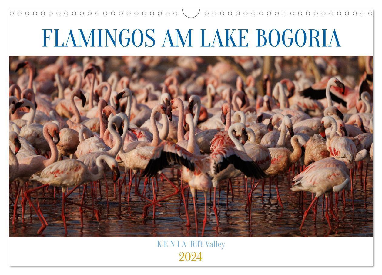 Flamingos am Lake Bogoria - Kenia (Wandkalender 2024 DIN A3 quer) CALVENDO Monatskalender
