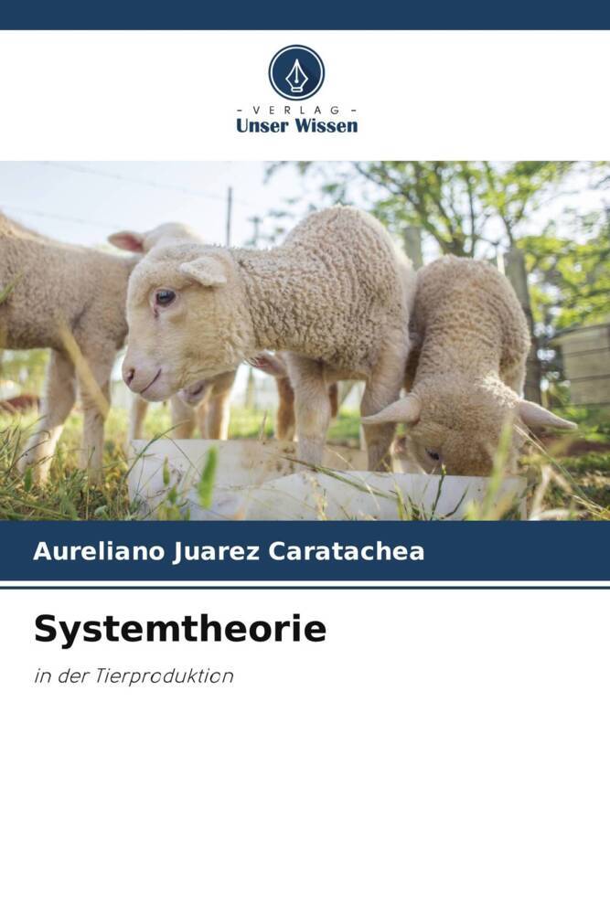 Systemtheorie