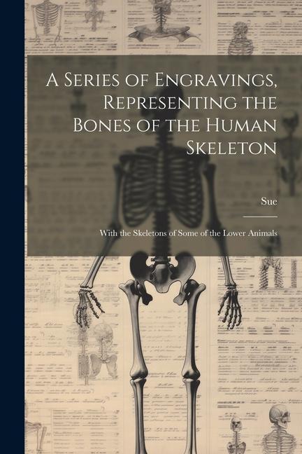A Series of Engravings Representing the Bones of the Human Skeleton: With the Skeletons of Some of the Lower Animals