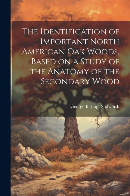 The Identification of Important North American oak Woods Based on a Study of the Anatomy of the Secondary Wood