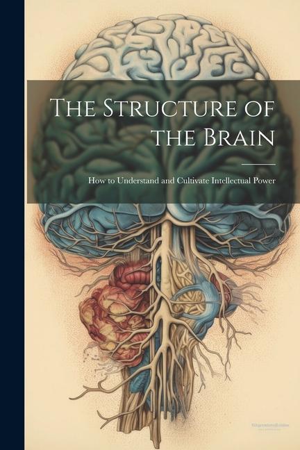 The Structure of the Brain: How to Understand and Cultivate Intellectual Power