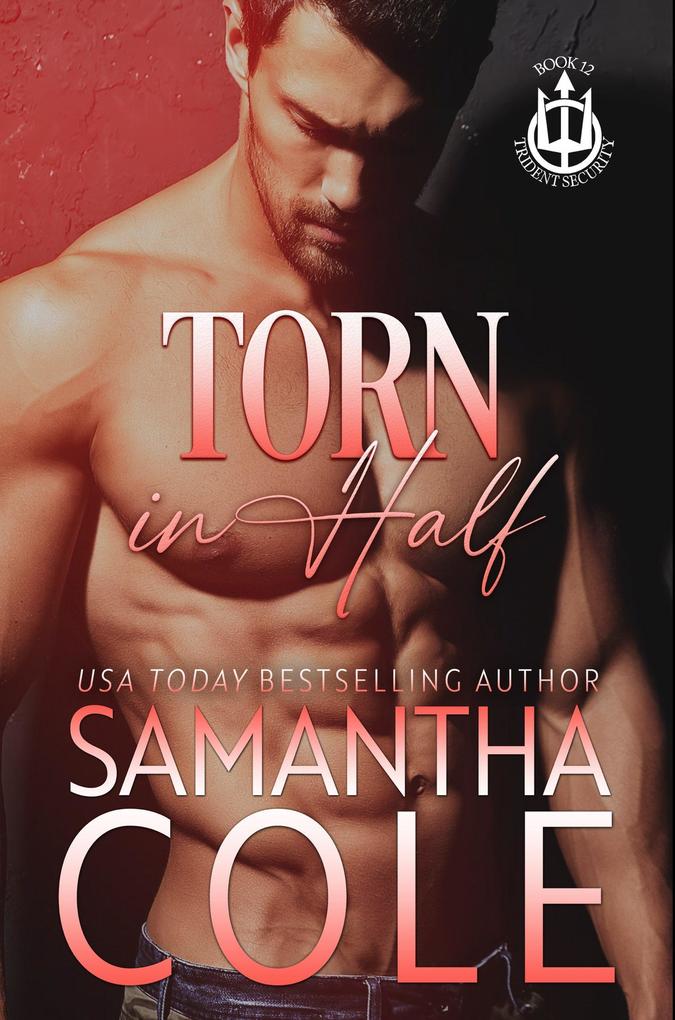 Torn in Half (Trident Security Series #12)