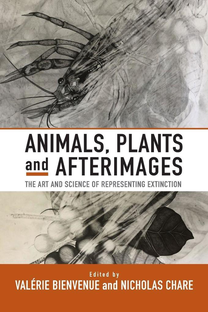 Animals Plants and Afterimages