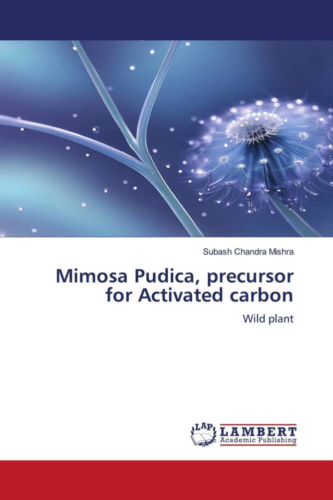 Mimosa Pudica precursor for Activated carbon