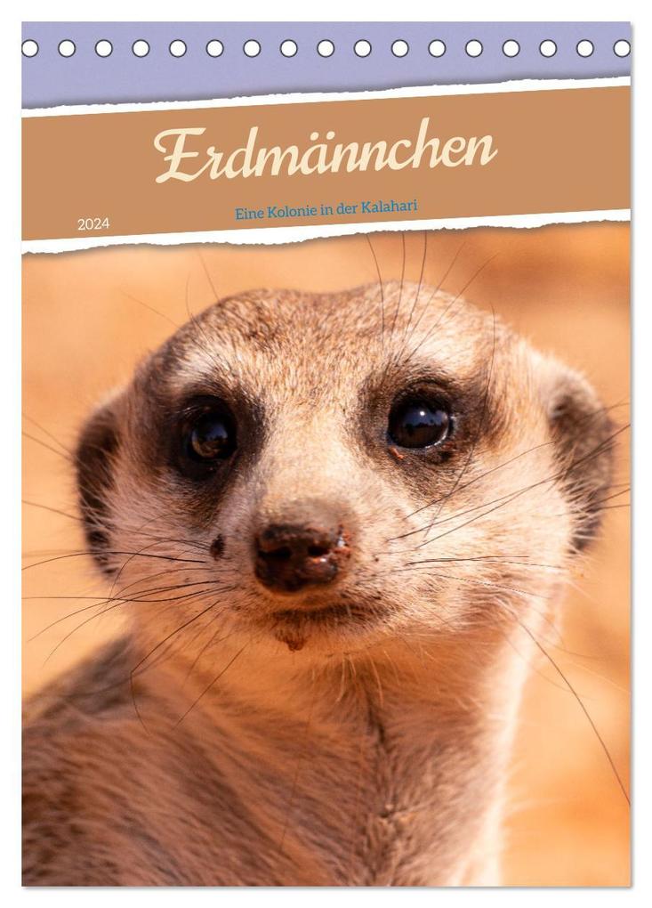 Erdmännchen - Eine Kolonie in der Kalahari (Tischkalender 2024 DIN A5 hoch) CALVENDO Monatskalender