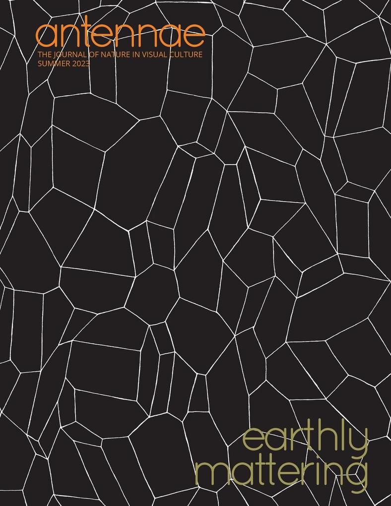 Antennae #61 Earthly Mattering