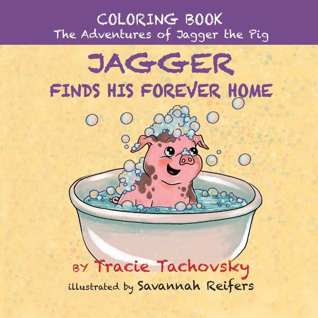 Jagger the Pig Finds His Forever Home