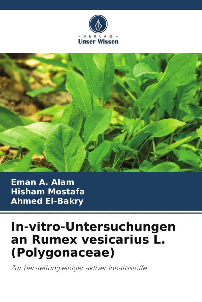 In-vitro-Untersuchungen an Rumex vesicarius L. (Polygonaceae)