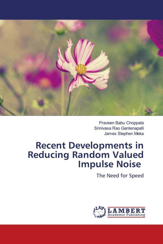 Recent Developments in Reducing Random Valued Impulse Noise