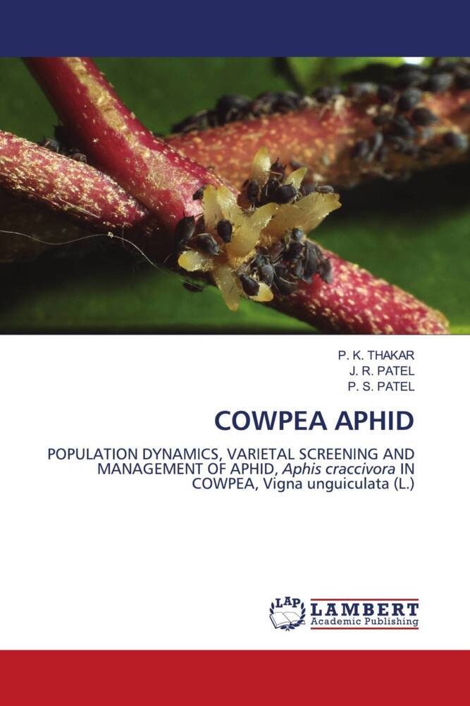 COWPEA APHID