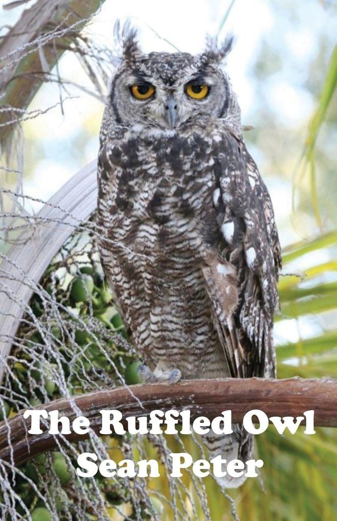 The Ruffled Owl
