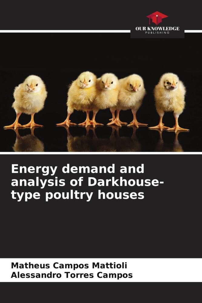 Energy demand and analysis of Darkhouse-type poultry houses