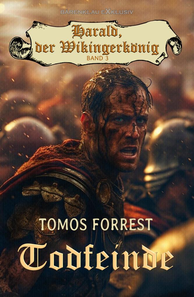 Harald der Wikingerkönig Band 3: Todfeinde