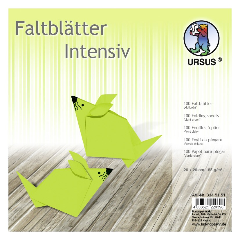 URSUS Falten Faltblätter Uni intensiv Plakatkarton 65 g/m² 20 x 20 cm hellgrün