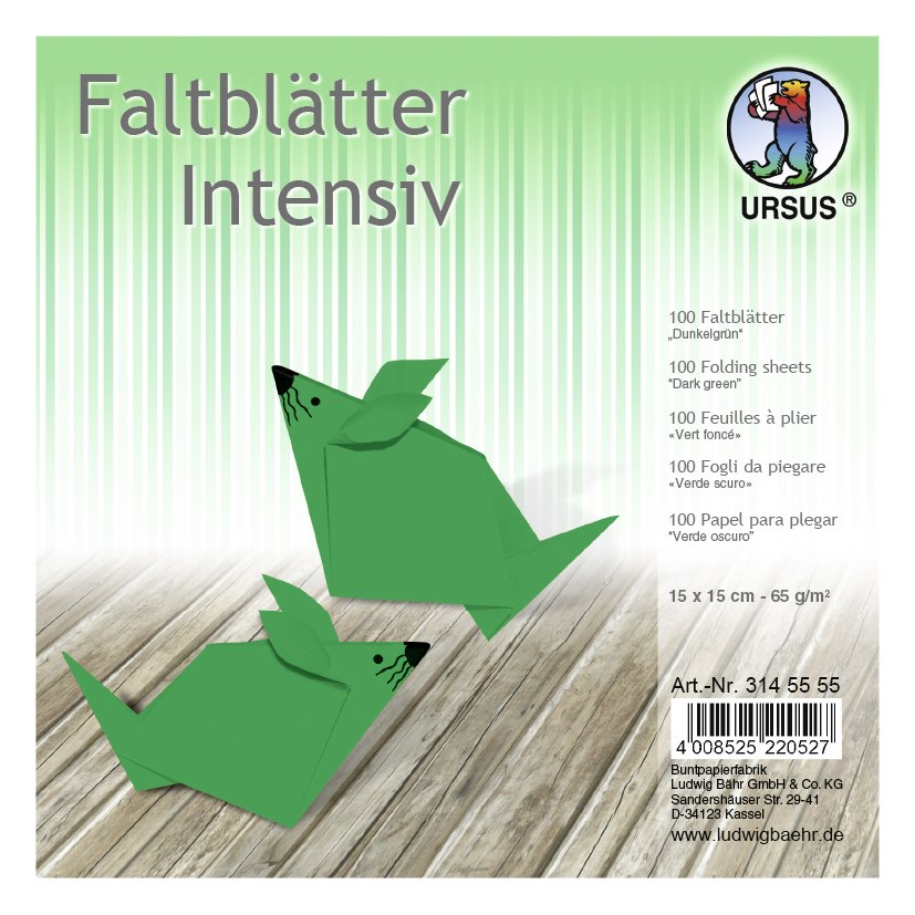 URSUS Falten Faltblätter Uni intensiv Plakatkarton 65 g/m² 15 x 15 cm dunkelgrün