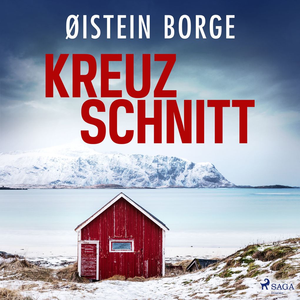 Kreuzschnitt