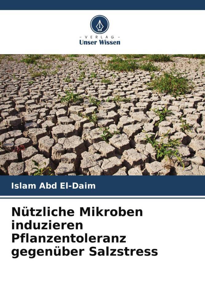 Nützliche Mikroben induzieren Pflanzentoleranz gegenüber Salzstress