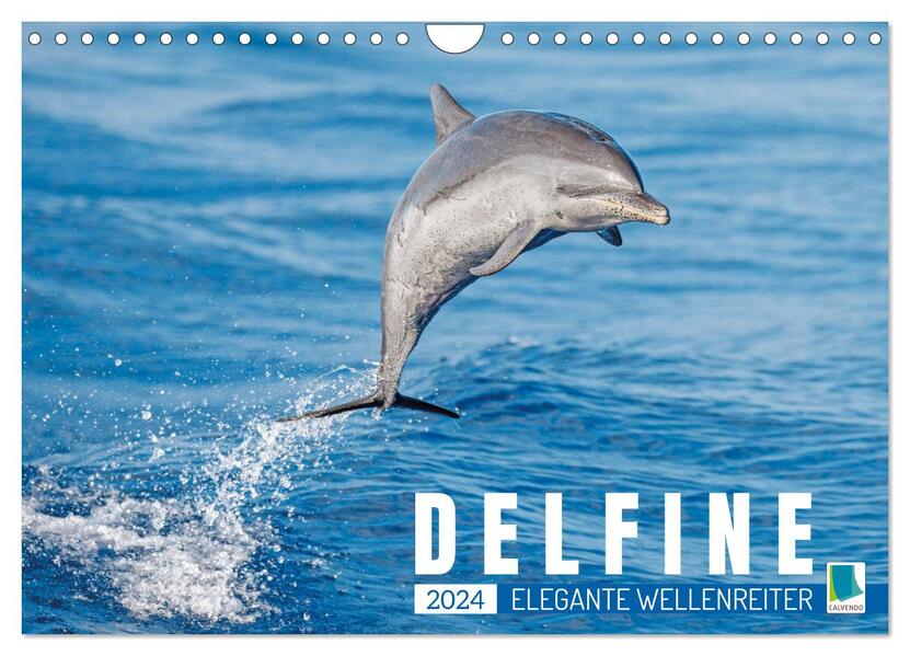 Delfine: Elegante Wellenreiter (Wandkalender 2024 DIN A4 quer) CALVENDO Monatskalender