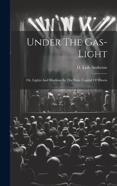 Under The Gas-light: Or Lights And Shadows In The State Capital Of Illinois