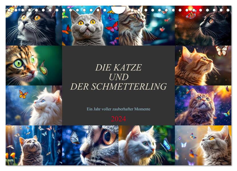 Die Katze und der Schmetterling (Wandkalender 2024 DIN A4 quer) CALVENDO Monatskalender