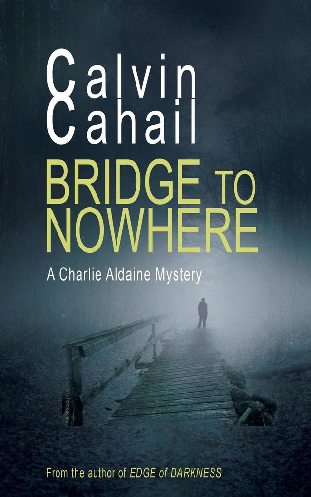 Bridge to Nowhere (A Detective Aldaine Mystery #1)