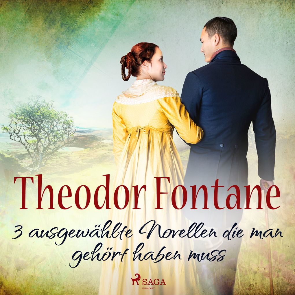 Theodor Fontane 3 ausgewählte Novellen die man gehört haben muss