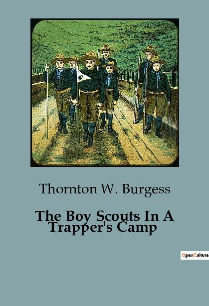 The Boy Scouts In A Trapper‘s Camp
