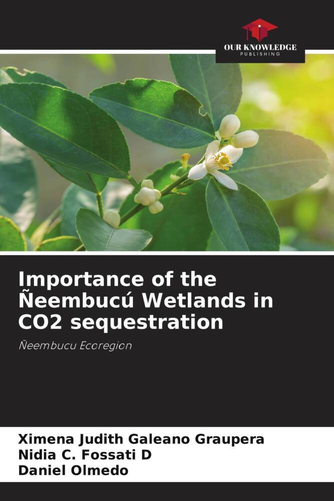 Importance of the Ñeembucú Wetlands in CO2 sequestration