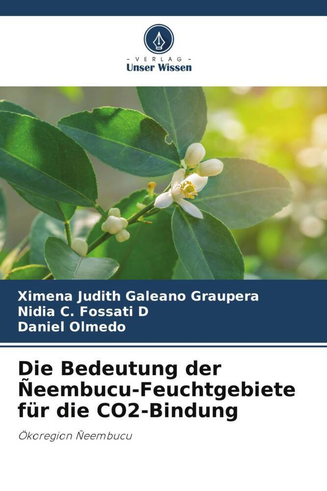 Die Bedeutung der Ñeembucu-Feuchtgebiete für die CO2-Bindung