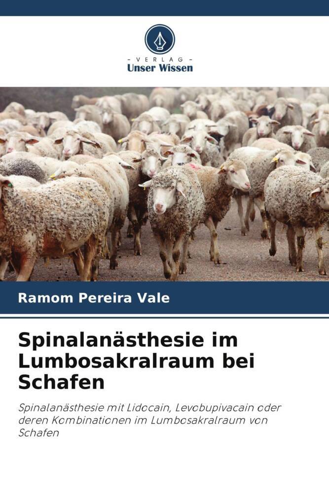 Spinalanästhesie im Lumbosakralraum bei Schafen