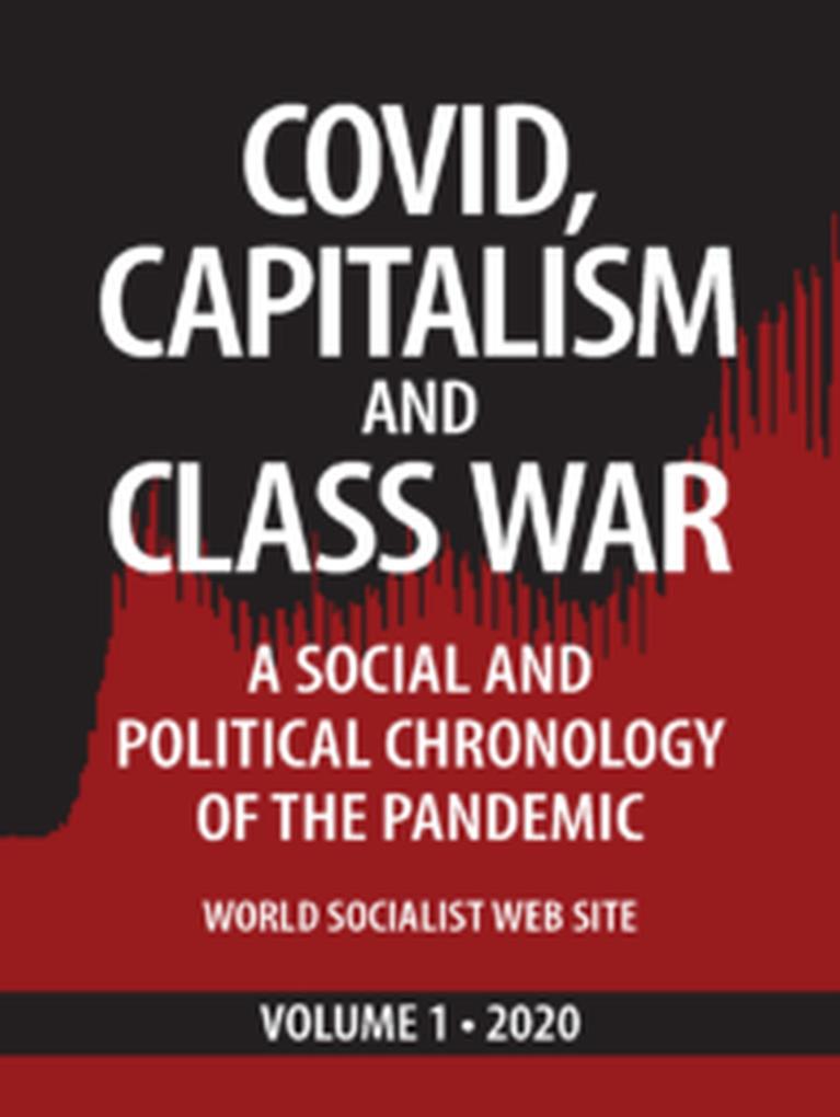 Covid Capitalism and Class War Volume 1 2020: A Social and Political Chronology of the Pandemic (Covid Capitalism and Class War #1)