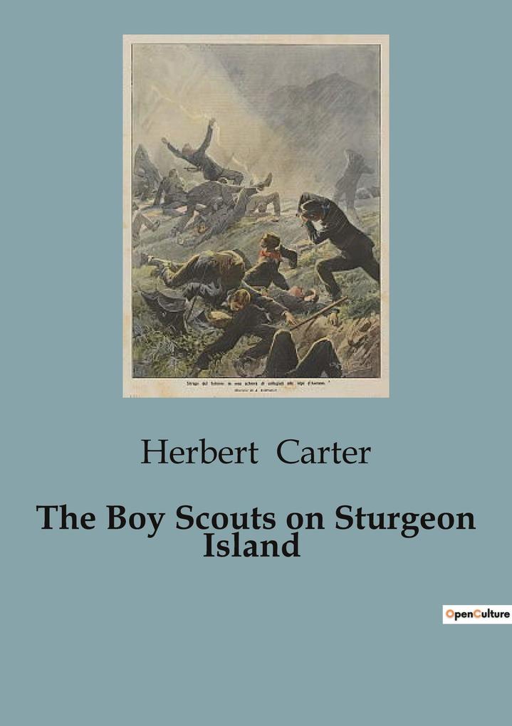 The Boy Scouts on Sturgeon Island
