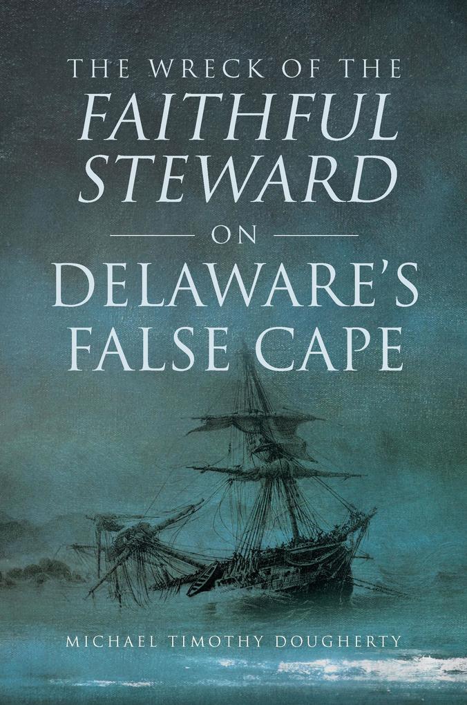 Wreck of the Faithful Steward on Delaware‘s False Cape The