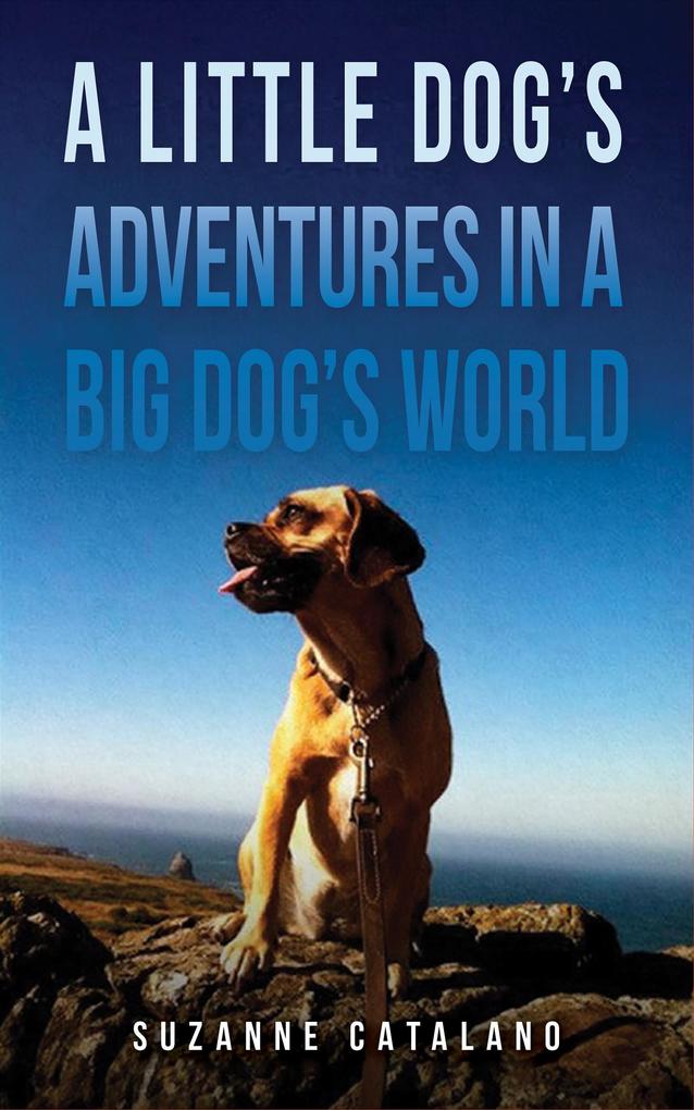 Little Dog‘s Adventures in a Big Dog‘s World