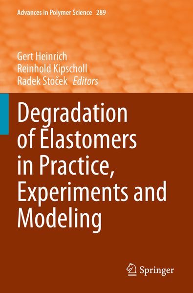 Degradation of Elastomers in Practice Experiments and Modeling