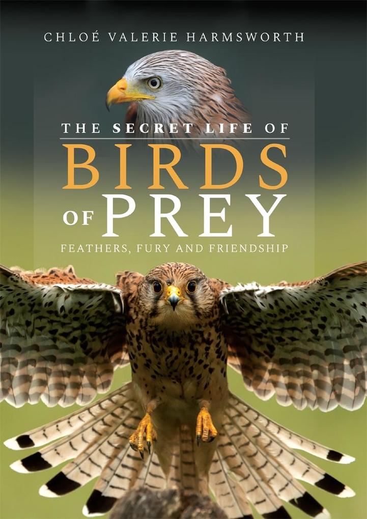 Secret Life of Birds of Prey