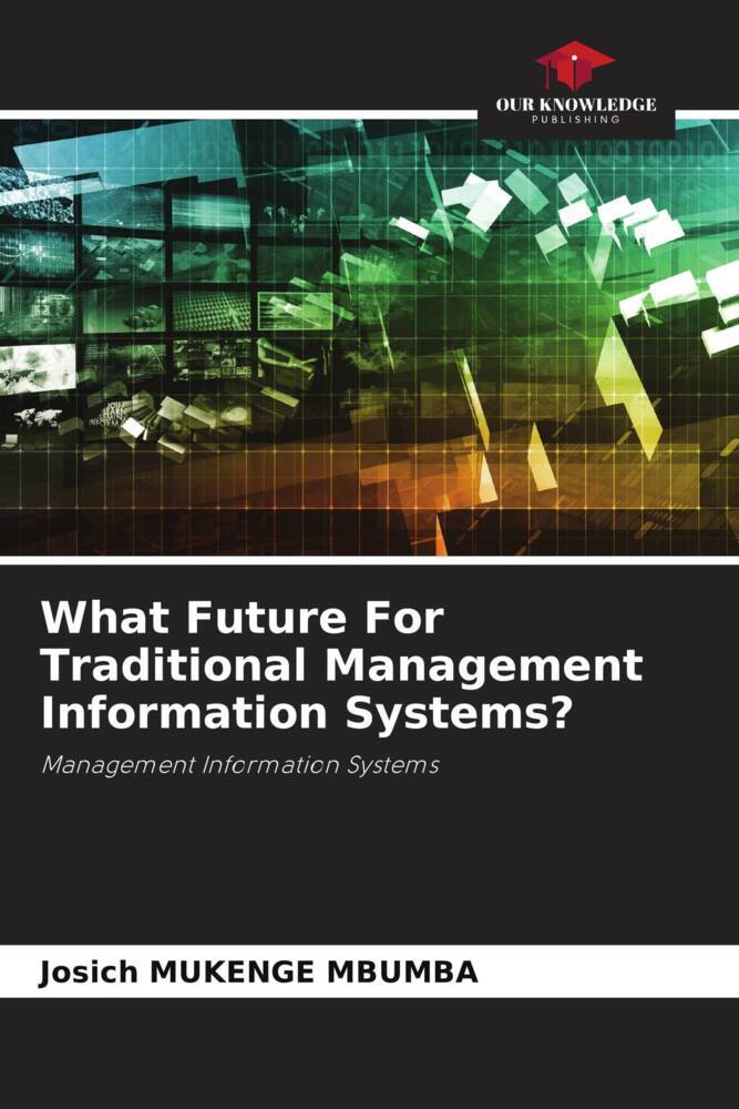 What Future For Traditional Management Information Systems?