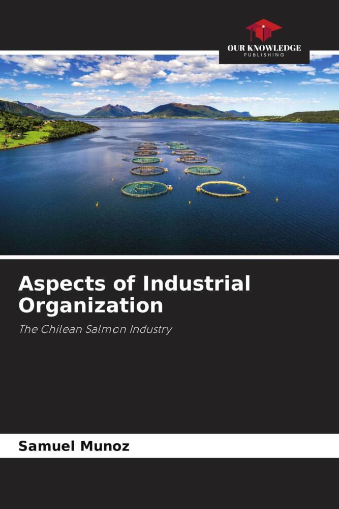 Aspects of Industrial Organization