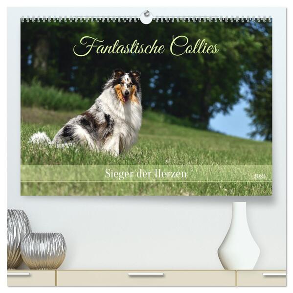 Fantastische Collies - Sieger der Herzen (hochwertiger Premium Wandkalender 2024 DIN A2 quer) Kunstdruck in Hochglanz